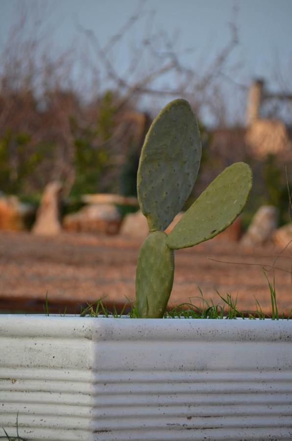 Masseria Poli Country House Conversano Exterior photo